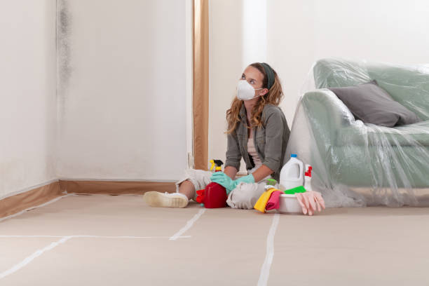 Reliable Mold Remediation contractor in Winter Beach, FL by 24 Hour Mold Removal